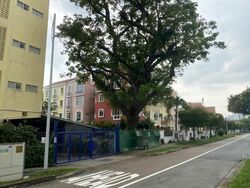Cheong Chin Nam Road (D21), Semi-Detached #455609371